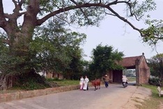 Duong Lam first Vietnamese ancient village to become national relic
