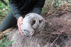 Quang Nam: Tam Ky city launches ‘Say No to wildlife’ campaign