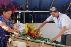 Nghe An couple in need of help for ailing son