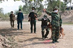 Cross-border control tightened against coronavirus threats