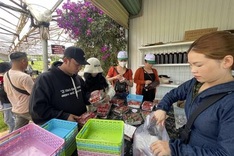 Traders' frauds cause losses to Dalat's strawberry farmers