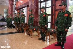 Vietnam send more rescue workers to help Turkey overcome quake consequences