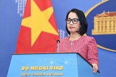 Vietnam resolutely refutes illegal claims in East Sea: Spokeswoman