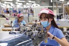 Record in newly-established firms set in seven months