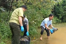 Dozens of wild animals in HCM City released into the wild