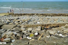 Sea dyke in Ha Tinh faces severe erosion