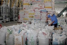 Positive signals for rice exports in 2023