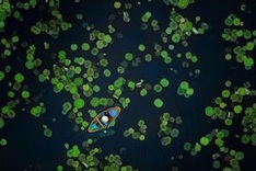 Local photographer receives honourable mention at global photo contest