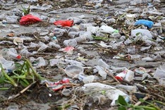 Danang beach blanketed by rubbish following heavy rains