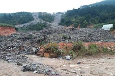 Dalat crops damaged by post-flood litter