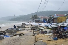 Binh Dinh to spend VND99bn on sea dyke