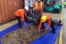 Legal loopholes hinder Vietnam’s efforts in wildlife protection