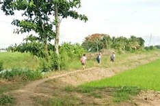 Disabled Bac Lieu man receives help to support small daughter