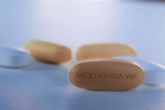 First batch of Molnupiravir tablets arrive in Vietnam