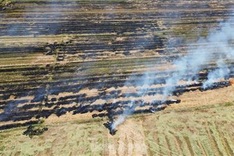 Straw burning rampant in Thua Thien-Hue