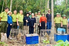 Ha Tinh national park releases animals back into the wild