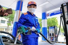 Petroleum prices fall