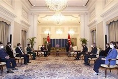 Vietnamese, Singaporean leaders agree to foster cooperation across spheres