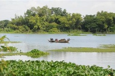 Mekong Delta region forecasted to witness early saltwater intrusion