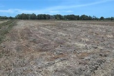 Central region faces serious drought