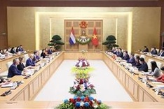 PM Chính holds talks with Dutch counterpart