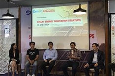 Vietnam has great potential to develop renewable energy: experts