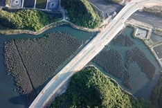 Investigation into Quang Ninh mangrove forest destruction underway