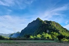 Protected zone established for endangered primates in Quang Binh