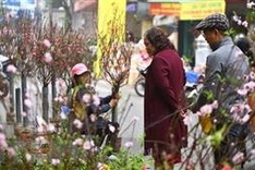 Hanoi postpones many cultural activities due to COVID-19