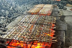 Nghe An’s famous grilled fish village