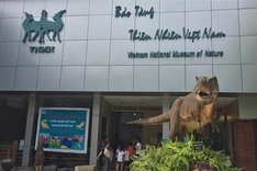 Nature museum to be built in outlying Hanoi district