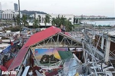 Quang Ninh focuses on reconstruction following typhoon