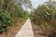 Mekong Delta takes multiple measures to prevent forest fires