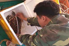 Management board tries to keep Côn Đảo National Park clean