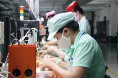 Seminar connects Da Nang firms and Japanese partners