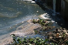 Danang river continues combatting with severe pollution