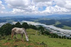 South Korean tourist dies falling from Lam Dong mountain