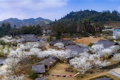 Dantri photography contest winners named