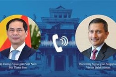Vietnamese foreign minister requests Singapore to consider transferring surplus COVID-19 vaccines