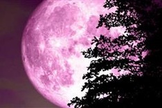 Full Pink Moon to be visible in Vietnam on April 17