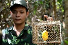 Six-man squad protects animals in Sơn Trà Peninsula