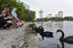 Hanoi to open another pedestrian street