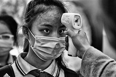 Vietnamese photographers win prizes at Spanish photo contest