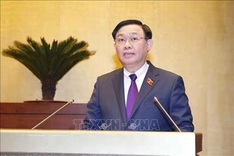 15th National Assembly's first extraordinary session opens