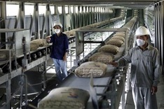 Cement industry calls for support amid slow sales