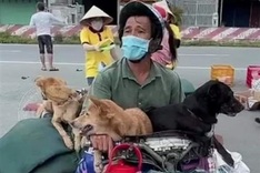 Man tormented by cull of pets at Covid-19 quarantine area