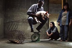 Award-winning film fined for failing to get licence