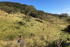 National park promotes biodiversity conservation to lure tourists