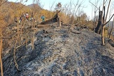 Hoang Lien National Park forest badly damaged by fire