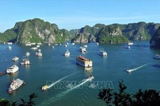 Vietnam among 10 best destinations for Germans to escape winter: news site